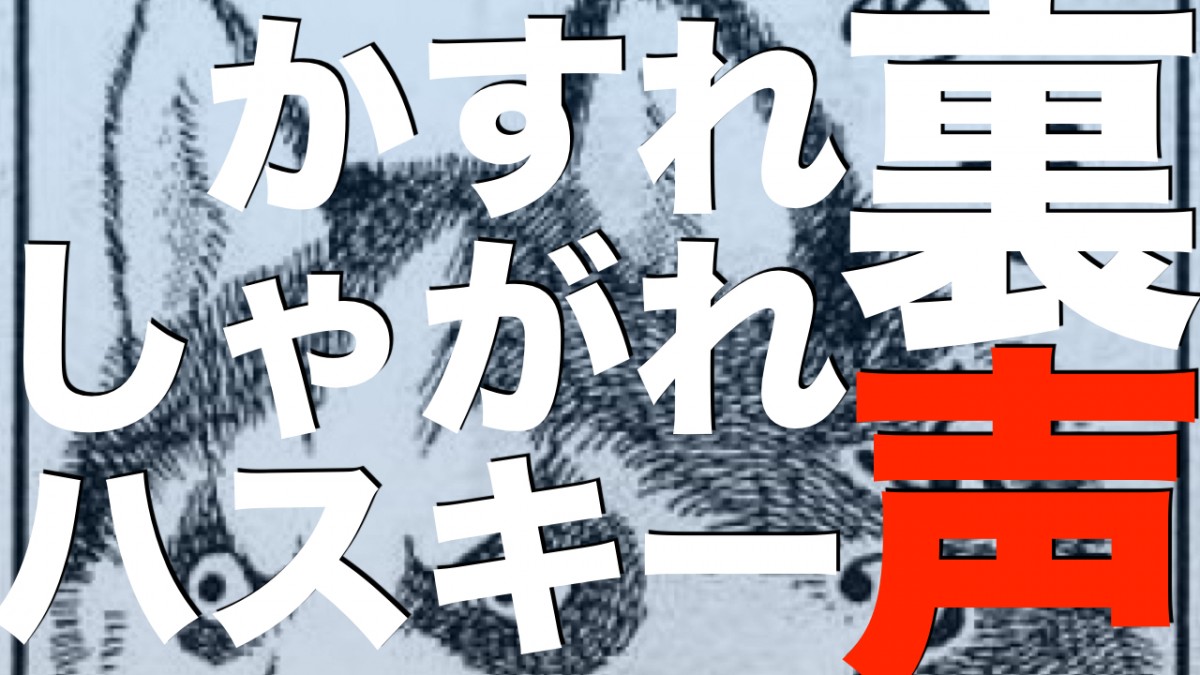 ハスキーな声、しゃがれた声、かすれ声、裏声と息の関係って？