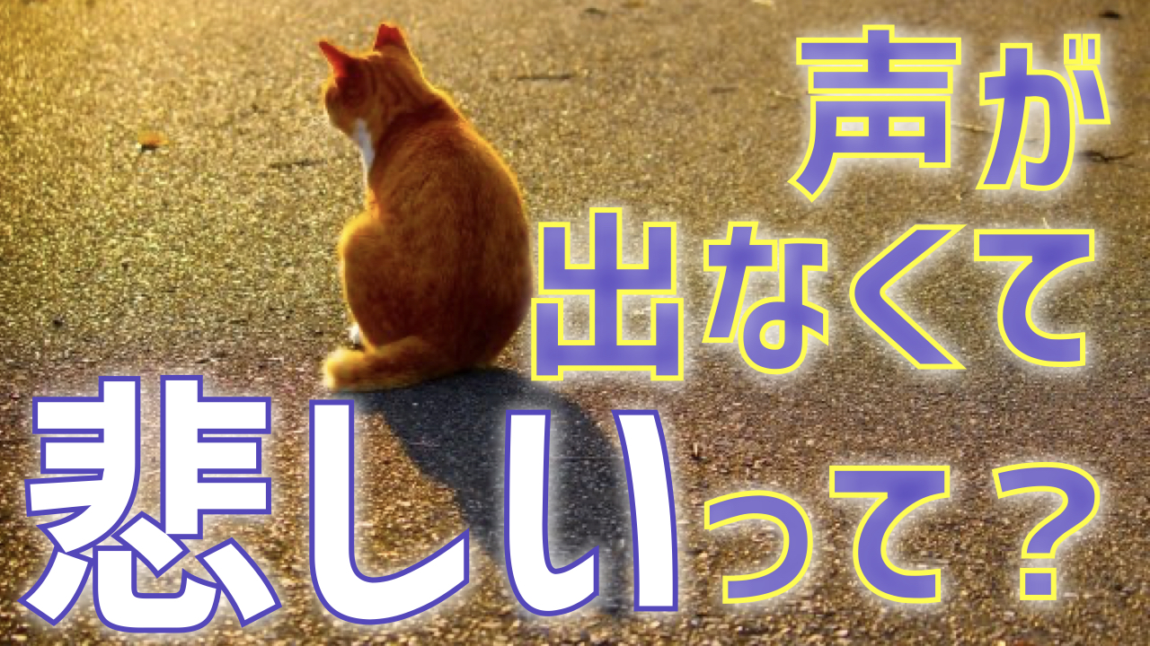 声が出なくて悲しい