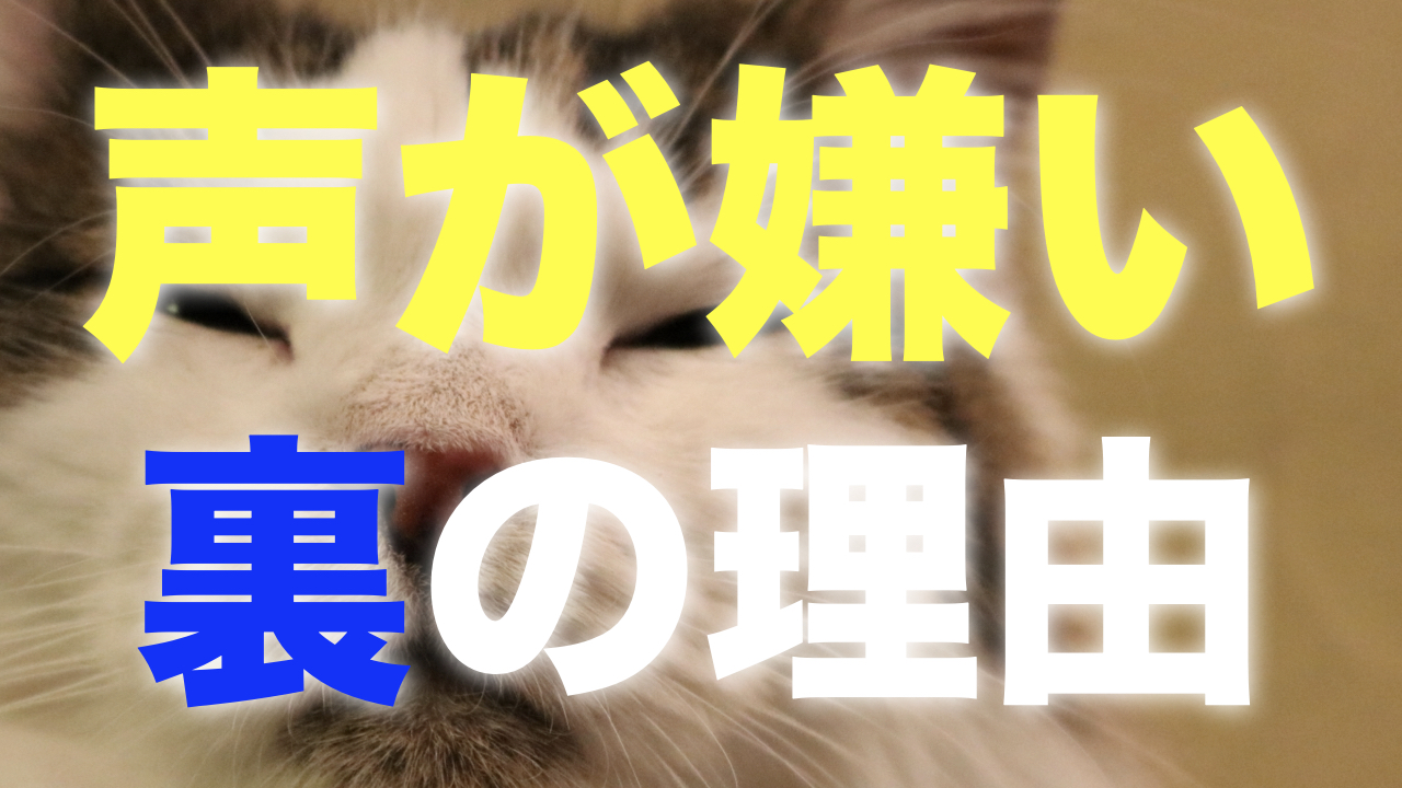 『自分の声が嫌い』の”裏”の理由