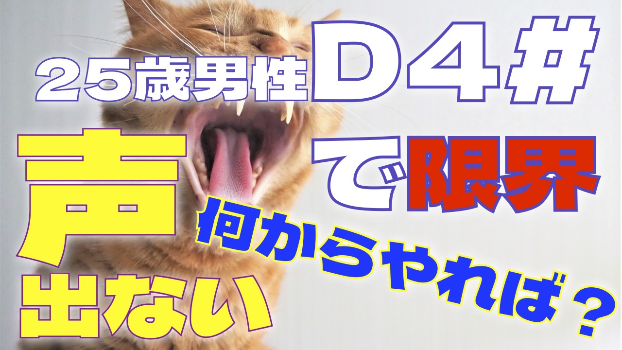 25歳男性ですがD4#でもう限界です…何からやればいい？